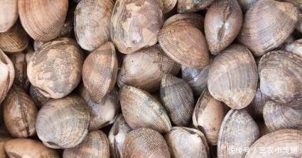 把沙子吐|想要吃美味的花蛤, 去沙得干净, 一颗铁钉就能够让花蛤乖乖吐沙