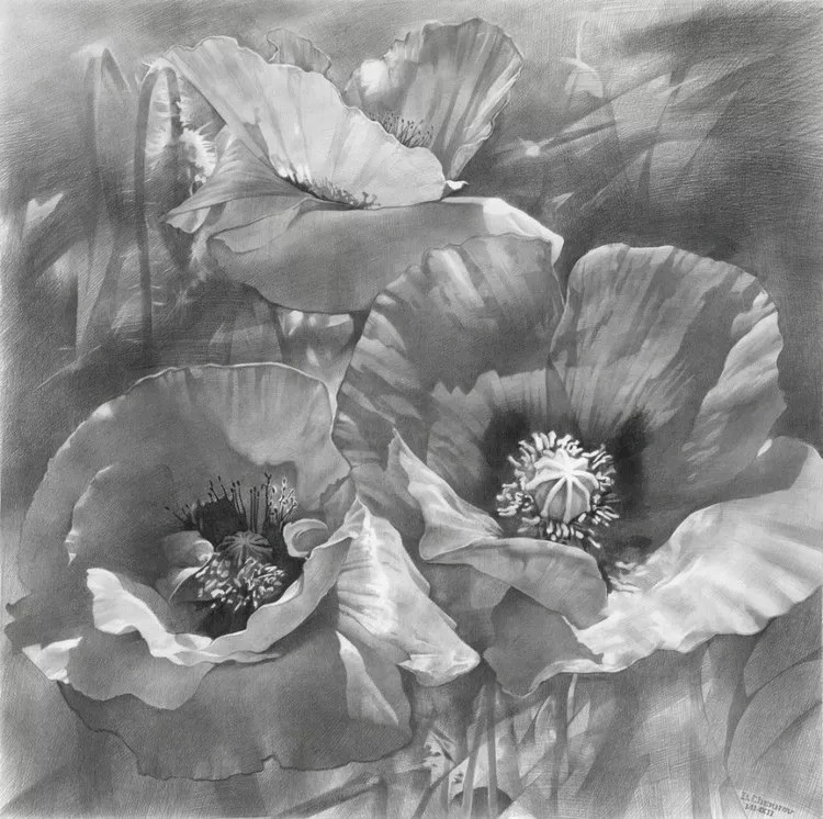 素描#乌克兰画家丹尼斯·切尔诺夫-头像、静物素描