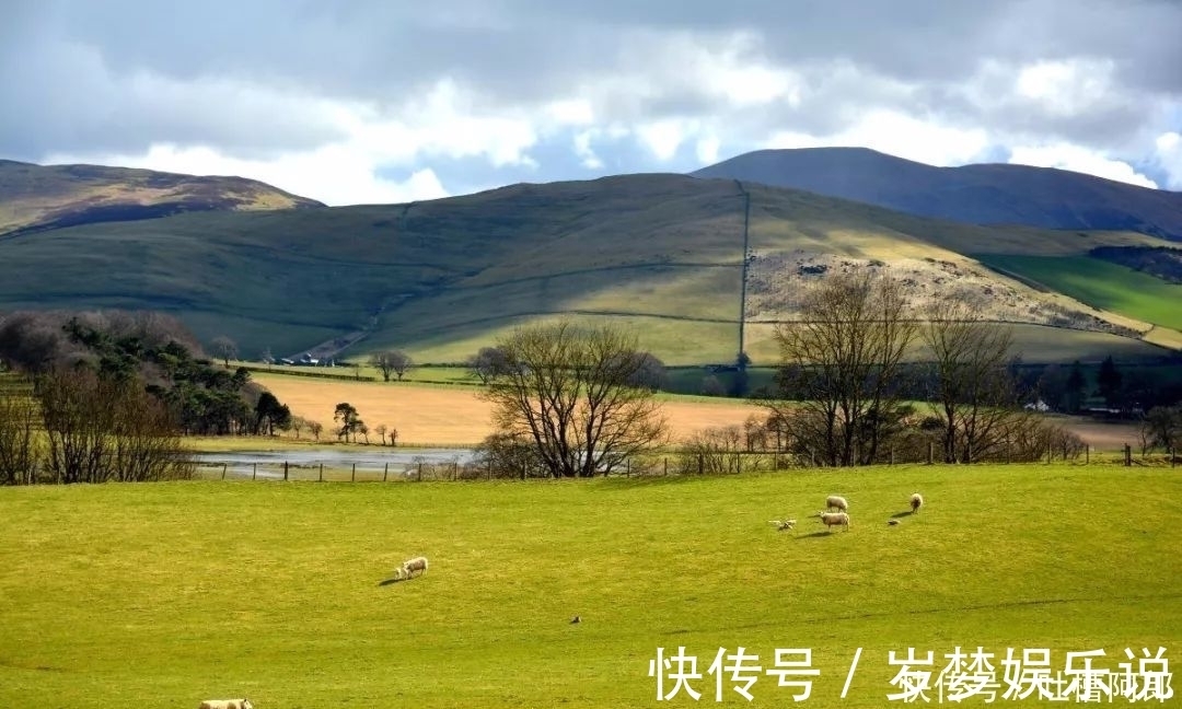 山气日夕佳|陶渊明的一首诗,诗中无酒句句让人醉,写出了人最舒服的状态
