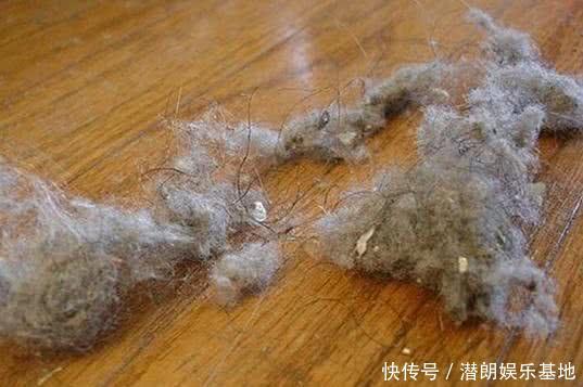 天天扫地,毛絮总是扫不干净,用了这个点子一周也不用扫地了