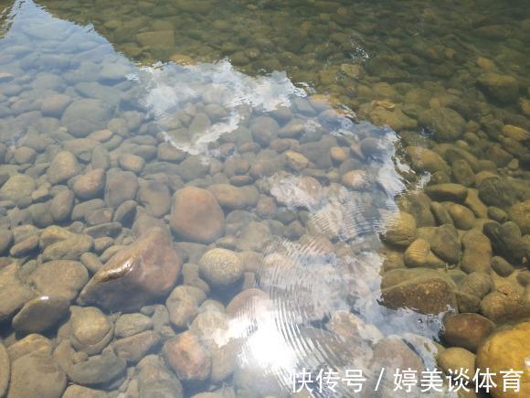 武陵山腹地现成群“奇鱼”,梭型无鳞,似从地下河游出