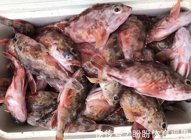 美味|海鲜市场这7种鱼,人工养殖难度大,遇到买几条享受纯天然美味