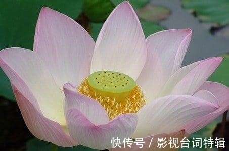 桃花|6天后，福气开启，浅笑而安，赚钱有道，桃花加持，误会解决