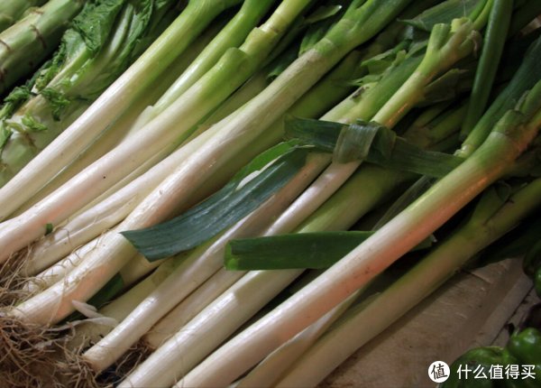 买大葱，如何辨别好坏？老葱农：观察5个细节，好葱坏葱一目了然