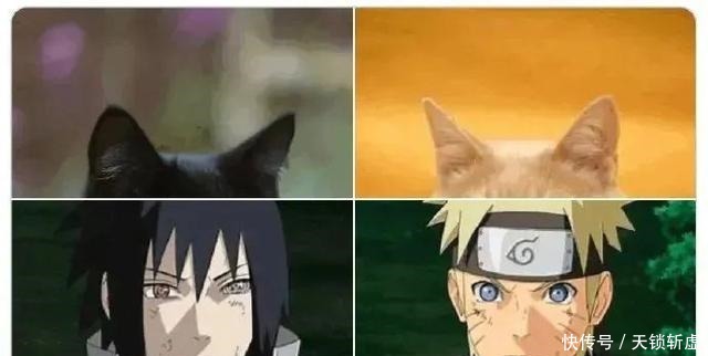 蓝头发猫耳朵的动漫人物