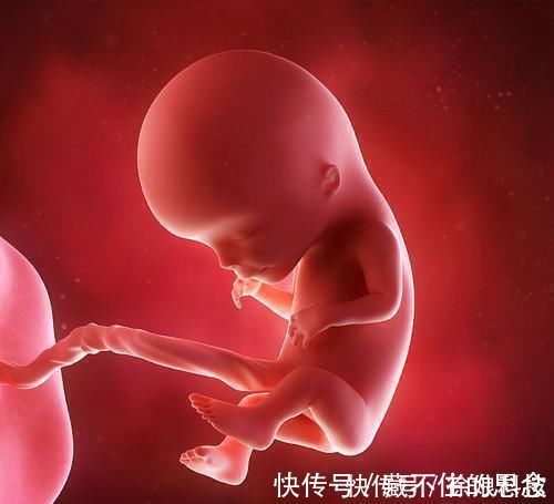 记忆|胎儿有宫内记忆?爸爸:4岁儿子的话让我流泪,早知应更重视胎教