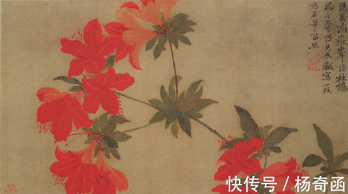 欣赏!恽寿平花卉图欣赏:一张作品3500万,无骨画法让鲜花娇艳欲滴