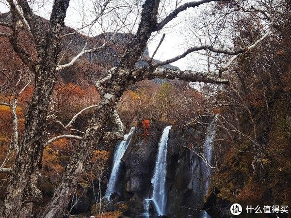 我的旅行|我的旅行 篇六：中秋的长白山，不仅有如镜般的天池，还有沉醉的秋景，五彩缤纷，如童话世界