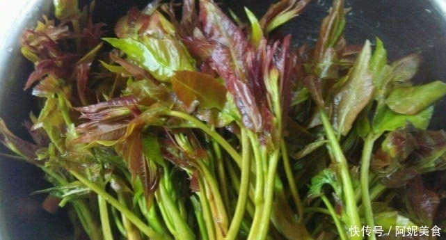 鸡蛋|春天“此菜”不能错过,100块一斤都要买,错过了等一年!