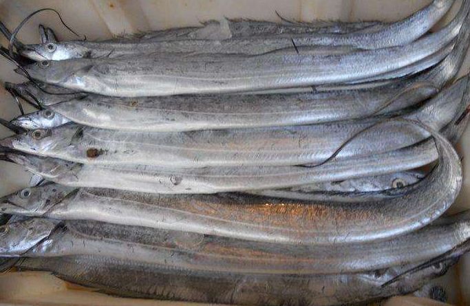 煎带鱼时，别再裹面糊了，这么做才是正确方法，外酥里嫩