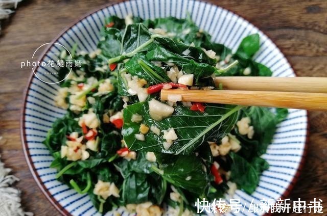 钙库|藏在田间地头的“天然钙库”,不花一分钱,钙是菠菜的3倍