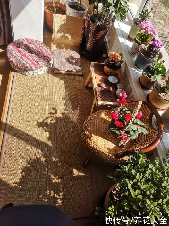 年底在家大扫除，记住5个小妙招，省时省力干干净净