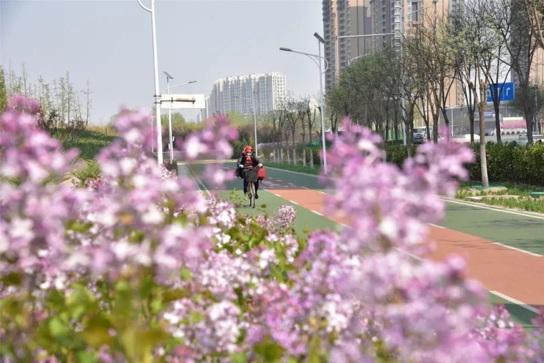 紫丁香、海棠芬芳馥郁，在昌平自行车专用路来一次观光骑行之旅吧