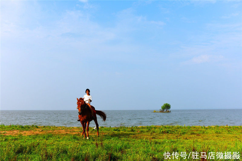 中原最美湿地、越冬候鸟家园——宿鸭湖