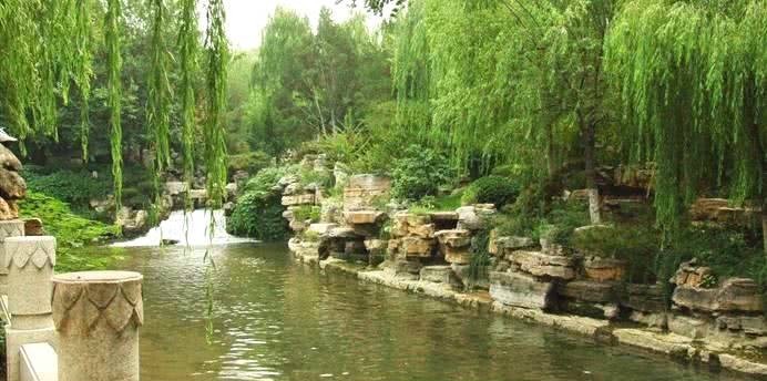 近年|八大菜系之首的鲁菜,近年为什么不行了?原因就在一字之差