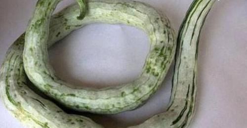 牛卵坨|女性到了中年,坚持常吃几种食物,健脑益智,延缓衰老,增强体质