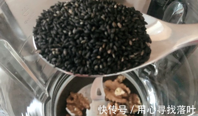 黑芝麻|黑芝麻最好吃的5种做法，步骤简单，滋补极佳，快学会做给家人吃！
