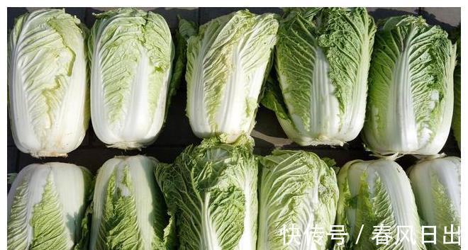 大白菜|过年想宅家,5样食材早备好,有荤有素又营养,好吃好储存