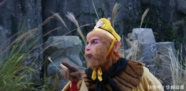 灵猴|四大灵猴只出现了三个,另外一个去了哪里他被应龙活捉后封印