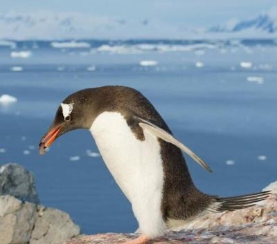 20条有趣的冷知识,你知道多少