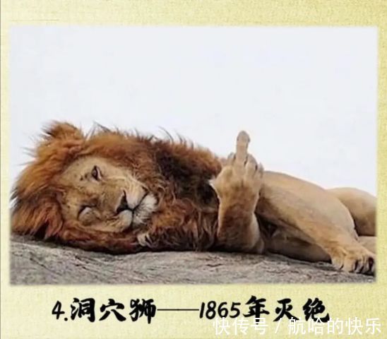 奥特曼|爆笑神评丨奥特曼灭绝了?光消失了?