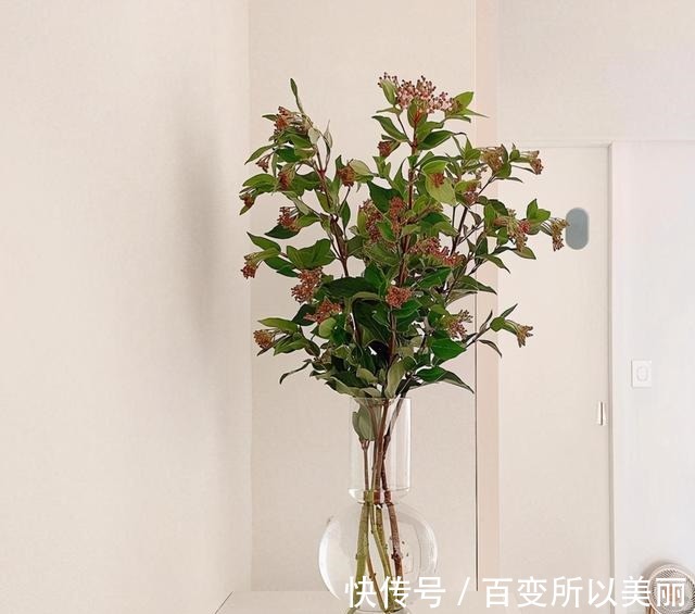 极简|韩国女主的极简之家曝光全屋简单清爽,低欲的生活精致又温馨!