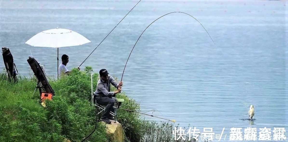 夏季野钓，突然无鱼口，不是钓技不好，原来是这几种因素