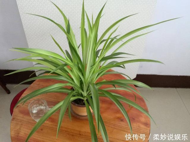 有害气体|新房装修完通风半年就能住吗听专业人一分析,我就不心急入住了