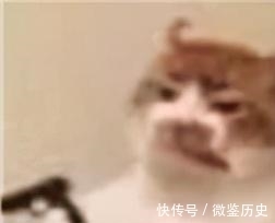 还原|全球的猫都想屏蔽这个日本人,他到底做了多少沙雕手办?