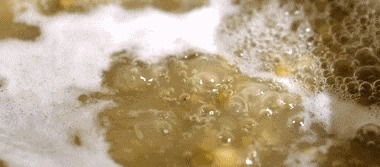 红豆薏仁|不管煮什么豆,直接下锅是不对的!多加一步,5分钟全软烂开花!