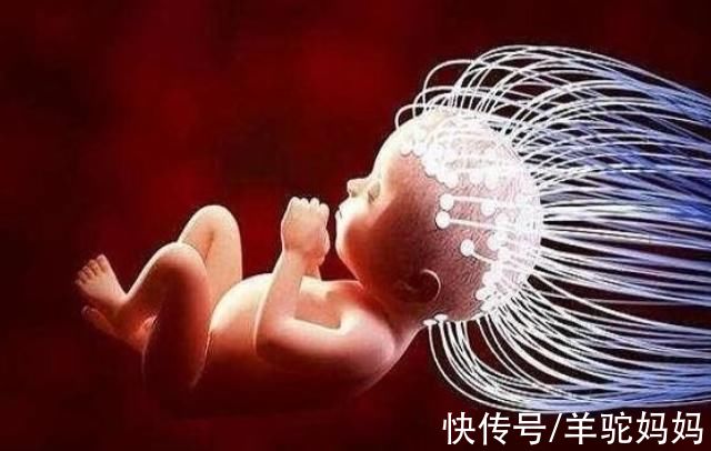 智力|新生儿的体重，直接暗示了宝宝的智商水平，不是迷信而有科学依据
