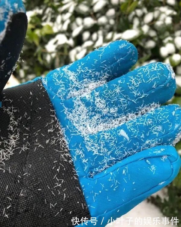 |【搞笑图片】撩妹翻车现场,哈哈哈这神奇的脑回复,也太直了吧!