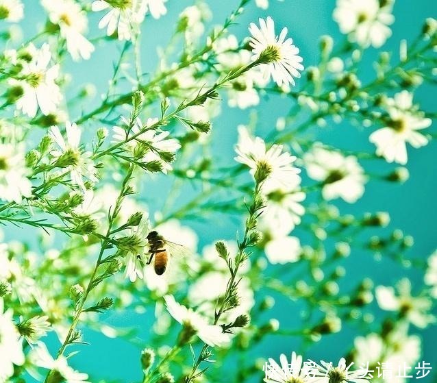  穿透|一段很现实的话，句句穿透人心！