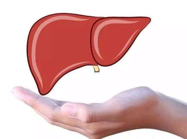 肝脏|百病从肝治肝脏保健方法汇总（收藏），中医视角，多方辨证分析