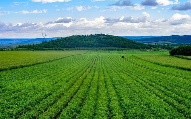 做生意|东北王-张作霖是怎么做生意的