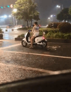 |搞笑GIF:养了这么只哈士奇,主人是崩溃的吧