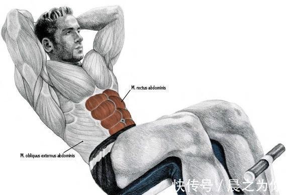 卧推凳腹肌锻炼法|39岁韩国模特，腹肌性感迷人，“卧推凳腹肌锻炼法”快速练同款