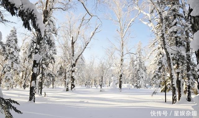 高句丽|不吹不黑！古往今来，为啥中原王朝征服东北地区就这么难？