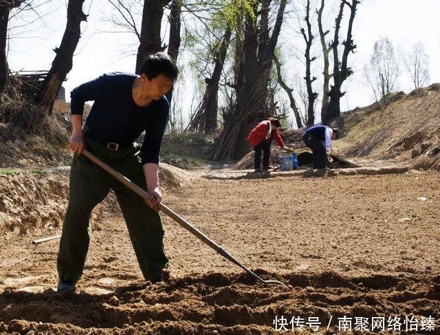 农村俗语“男看女看膘, 女看男看毛”, 这句话有什么含义