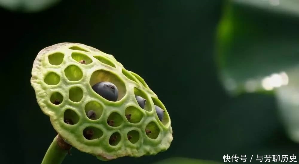 老祖宗|老祖宗的经验:福报到家,通常有这三个“喜兆”