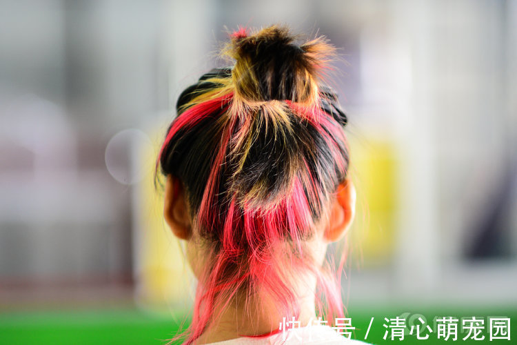 染发剂 经常染发,真的会致癌吗?有可能!医生给出5个染发建议