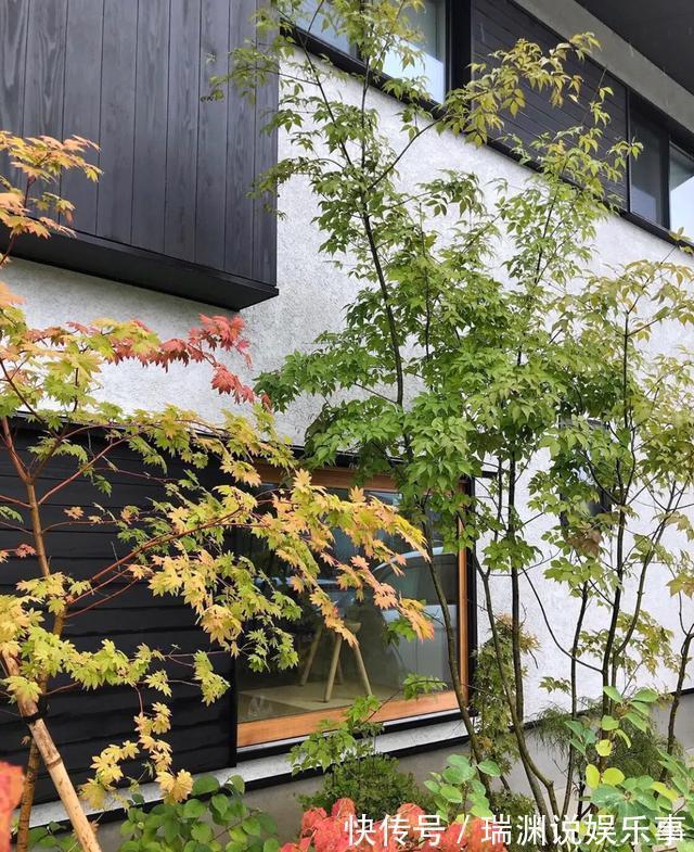 太太|该扔就扔！日本太太坚持每天一收拾，只需30分钟便井然有序，赞！