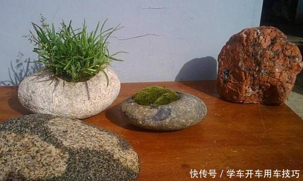 碰上石头、木块赶紧捡回家,简单一处理,做成独一无二的养花盆!