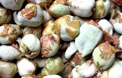 强健|想身体健康,多吃几种食物,健脾养胃,强健体魄,肌肤更好