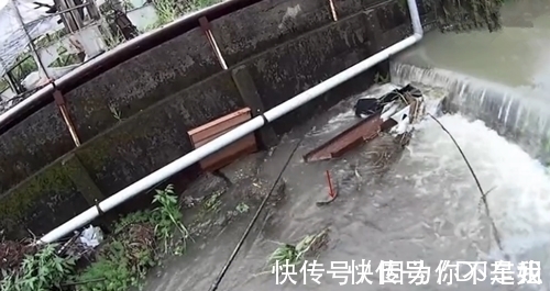 河边角落杂草处有大鱼,不想下去抓,鱼饵一扔就钓获大鱼,真幸运