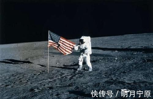 19个你不知道的冷知识,你可能一个也不知道,熊猫竟比老鼠还小