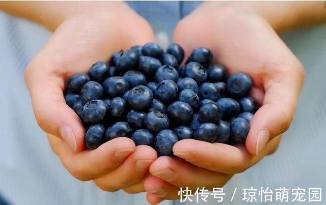 核桃|最佳补脑食物名单,别只知道吃核桃,这3种食物是天然“脑黄金”