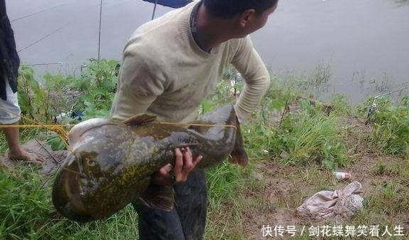农村一小伙钓鱼惊动水库老板,钓起来的鱼惊呆了所有人!