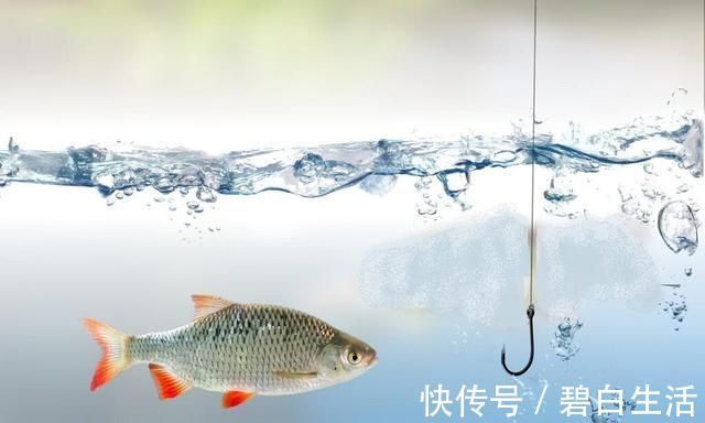 钓鱼|钓12斤鲈鱼被查,长江一杆一线垂钓,为何成了非法偷钓?