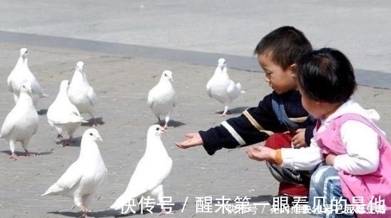 胃脾|4岁女童脾胃衰弱,育儿主任:3种食物或会“毁掉”孩子胃脾